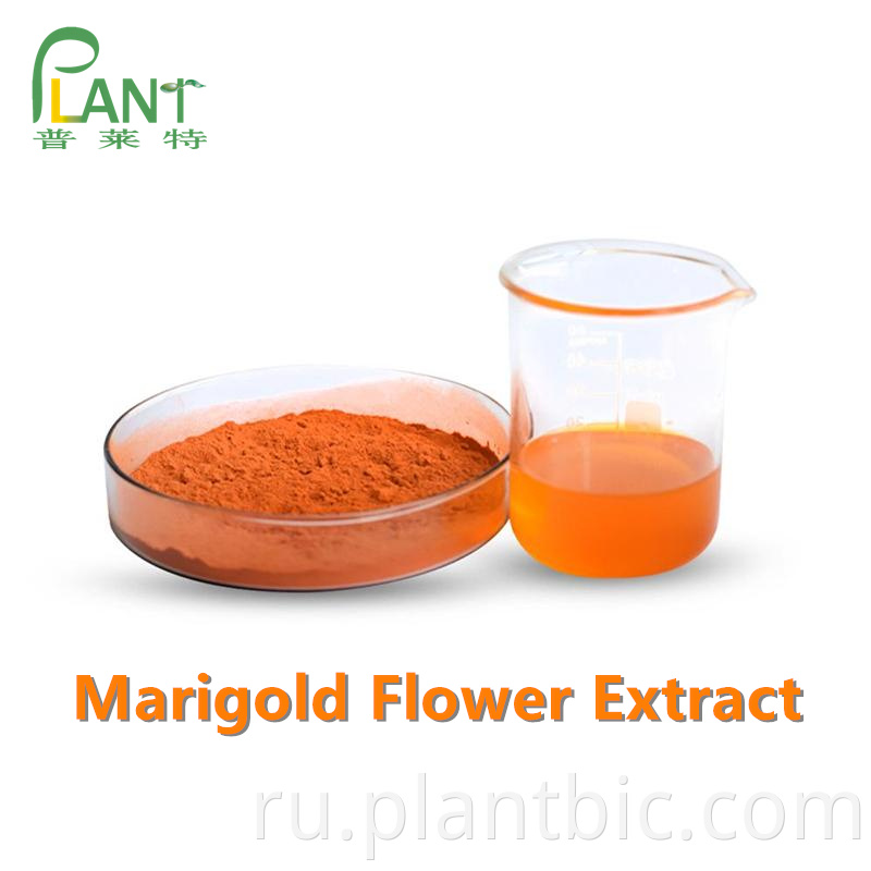 Marigold Flower Extract Powder